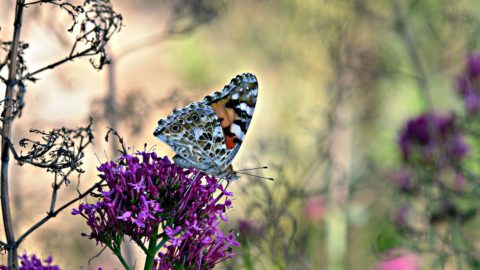 ¡NUESTRO PRIMER VIAJE DEL AÑO! DESTINO: ALBACETE